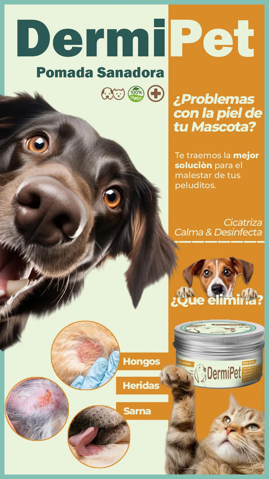 DermiPet